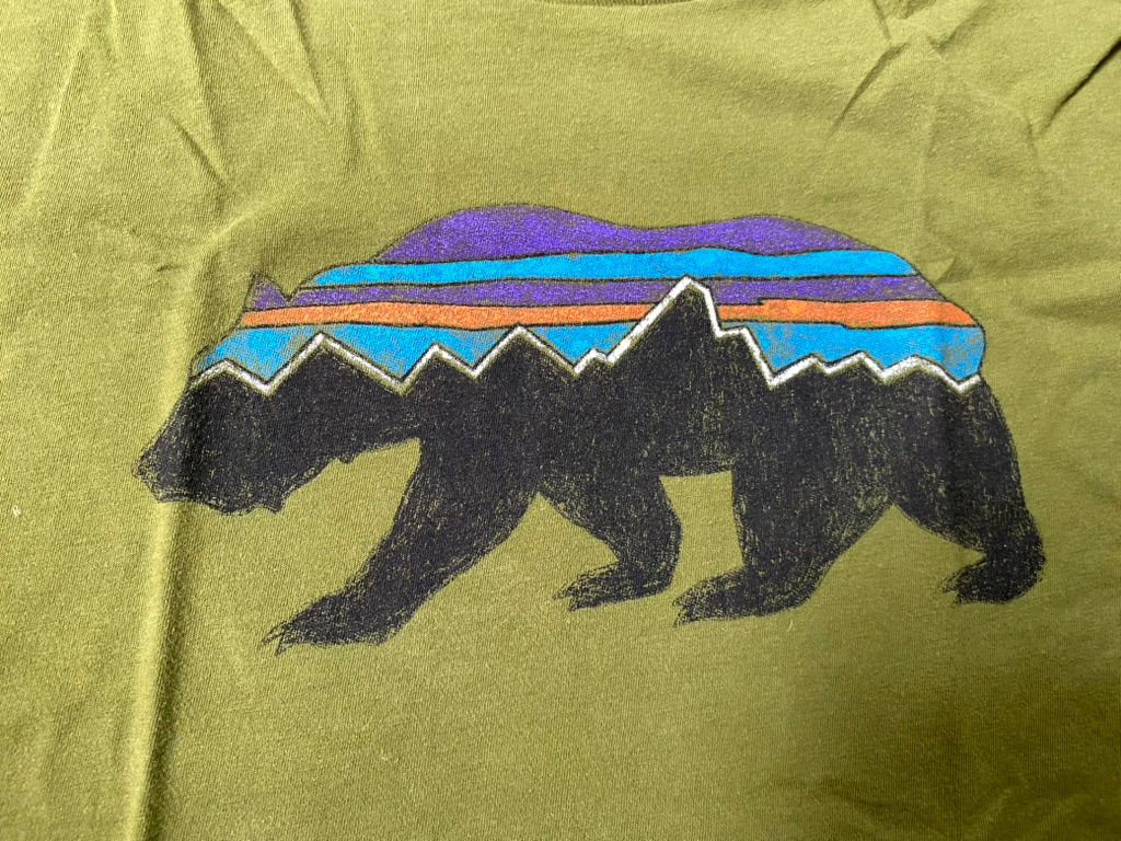 Patagonia Men’s Organic Cotton Shirt – Slim Fit Medium, Green Bear Logo (Used, Repaired Hem)